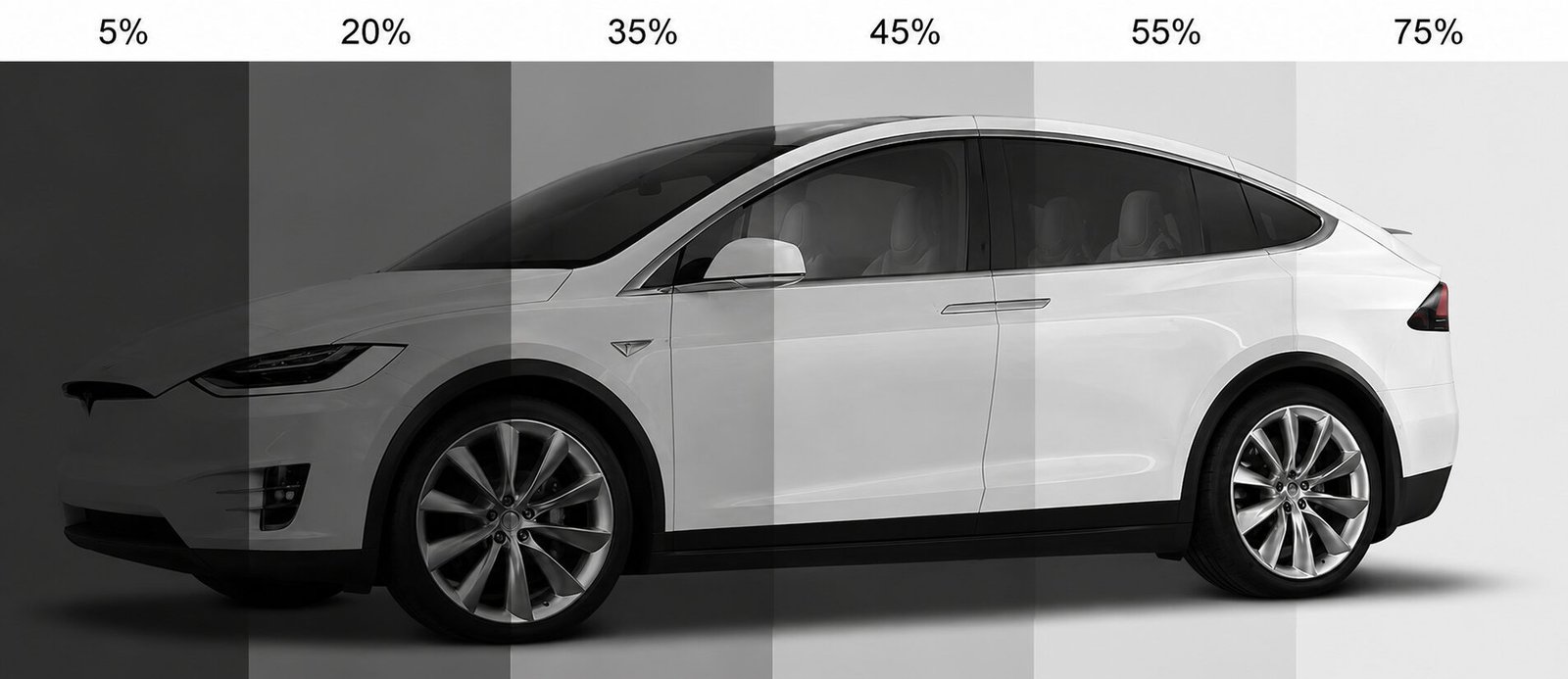 Window tint shade darkness percentage reference